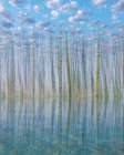 USA, Washington State, Seabeck. Composite of trees, sky and water. Art Print